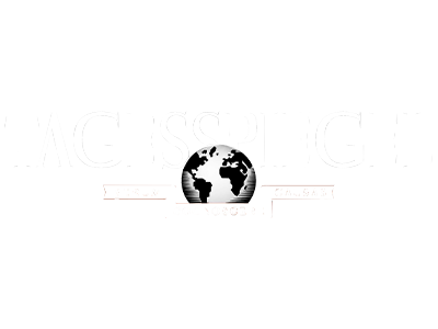 Tagesspiegel-Logo-Icon