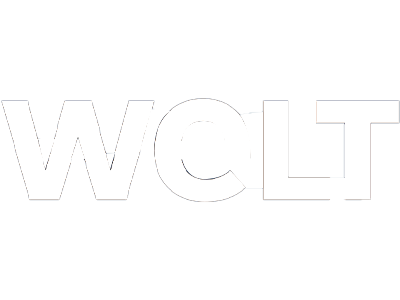 Welt-Logo-Icon