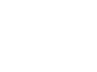 im-Logo-Icon